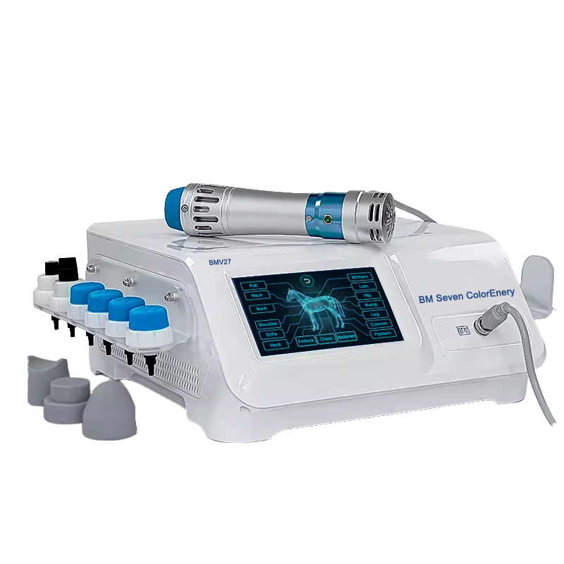 Veterinary Rehabilitation Equipment