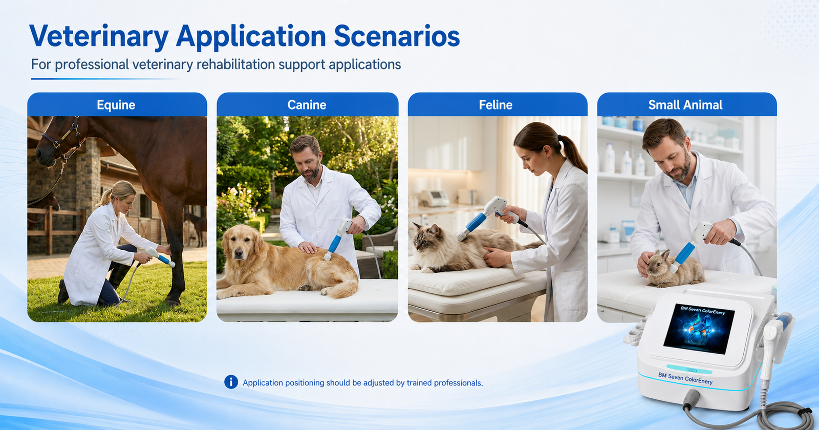 Q803 veterinary application scenarios for horses dogs cats and small companion animals